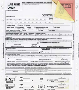 Healthcare Forms - Lab Reports